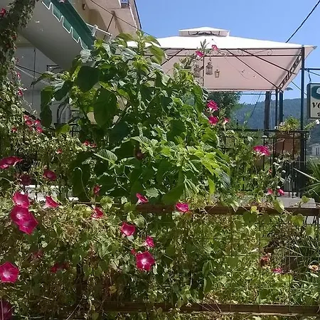 Noufara